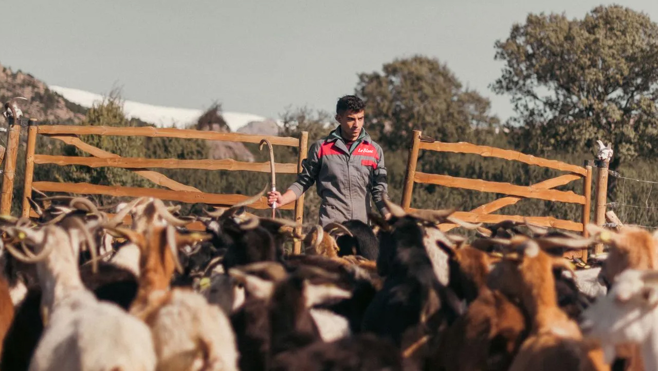 Colaborador de la comunidad local trabajando con el rebaño de cabras Le Blanc, reflejando el compromiso de la marca con la generación de empleo en la región